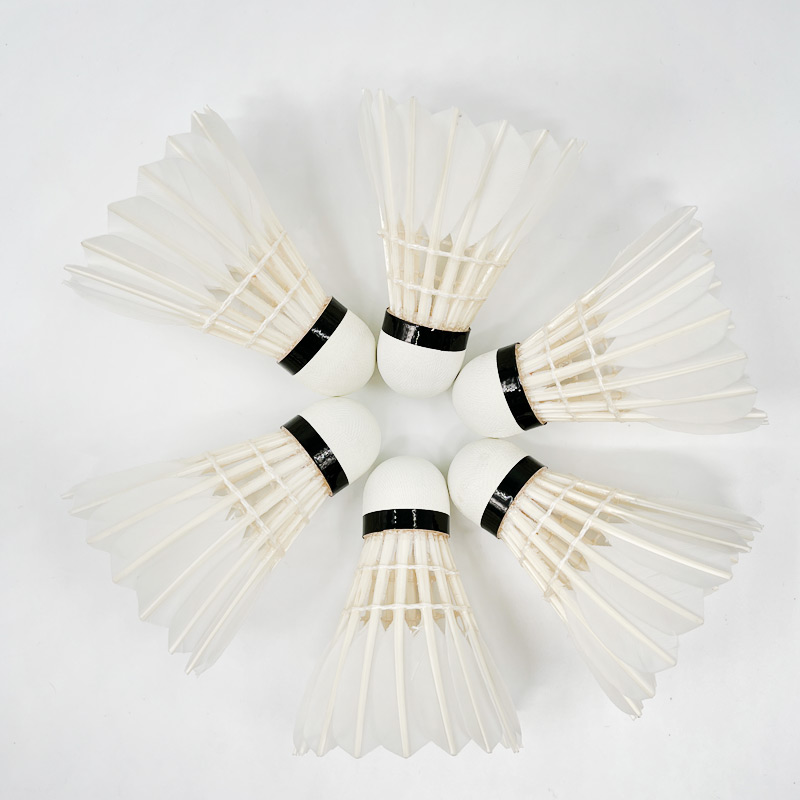 G8 Goose Feather Traditional B - Badminton Championship recension och pris