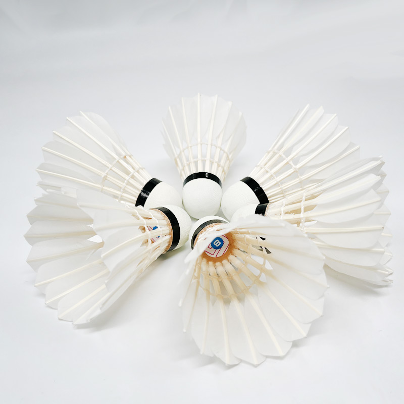 G8 Goose Feather Traditional B - Badminton Championship recension och pris